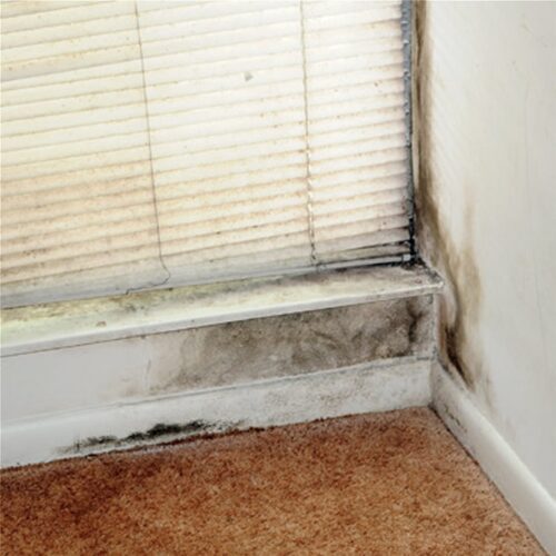 DUROSTICK D 95 Cleaner 5