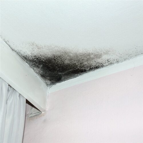 DUROSTICK D 95 Cleaner 6