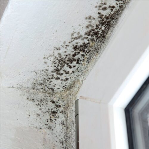 DUROSTICK D 95 Cleaner 7